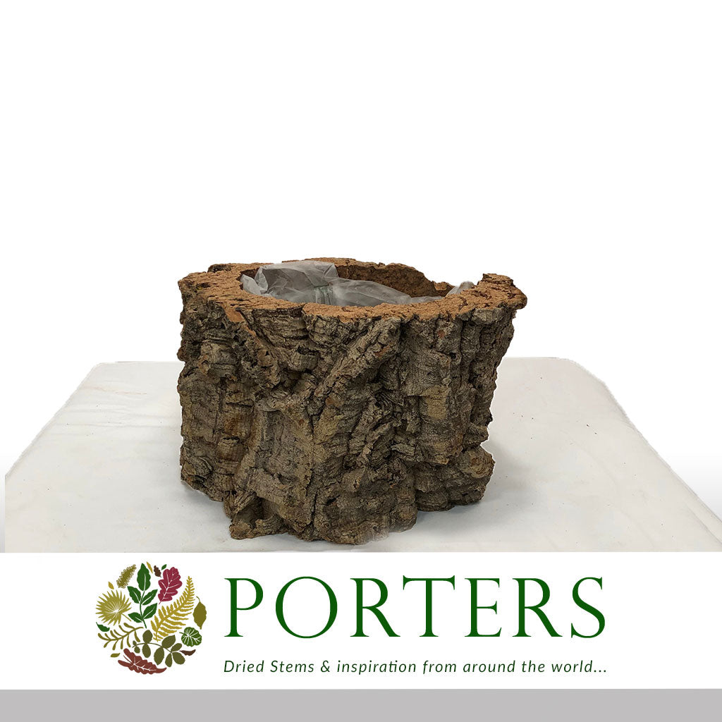 Cork Bark &#39;Pot Planter&#39; (DRY) (Various Sizes)