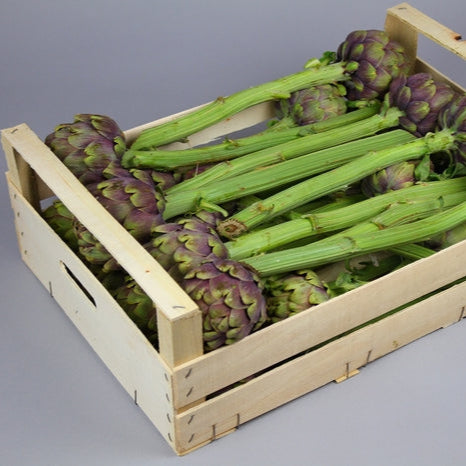 Artichoke Stem (Various Sizes)