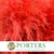Grass 'Pampas' (Evita) (Various Colours) (DRY) 120cm (x5)