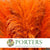 Grass 'Pampas' (Evita) (Various Colours) (DRY) 120cm (x5)