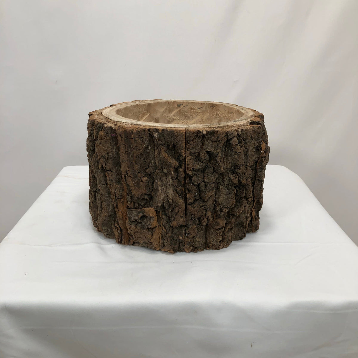 Cork Bark &#39;Bowl&#39; (Paulowina) (DRY) (Various Sizes)