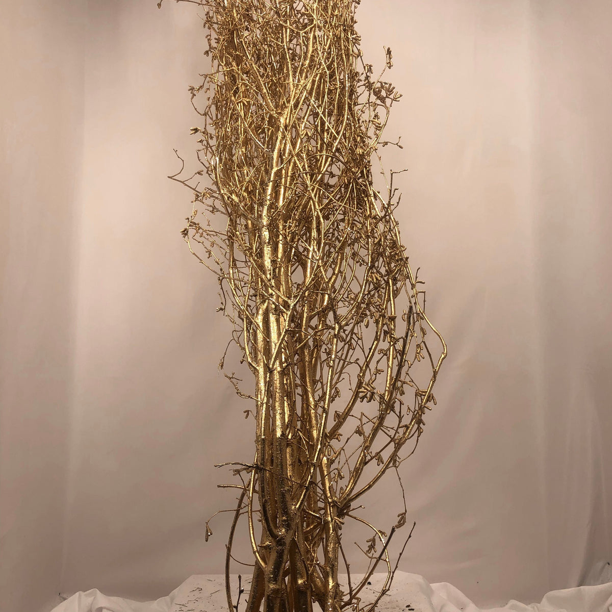 Hazel Catkin 5-6&#39; Tall (Painted/Glitter) (Various Colours)