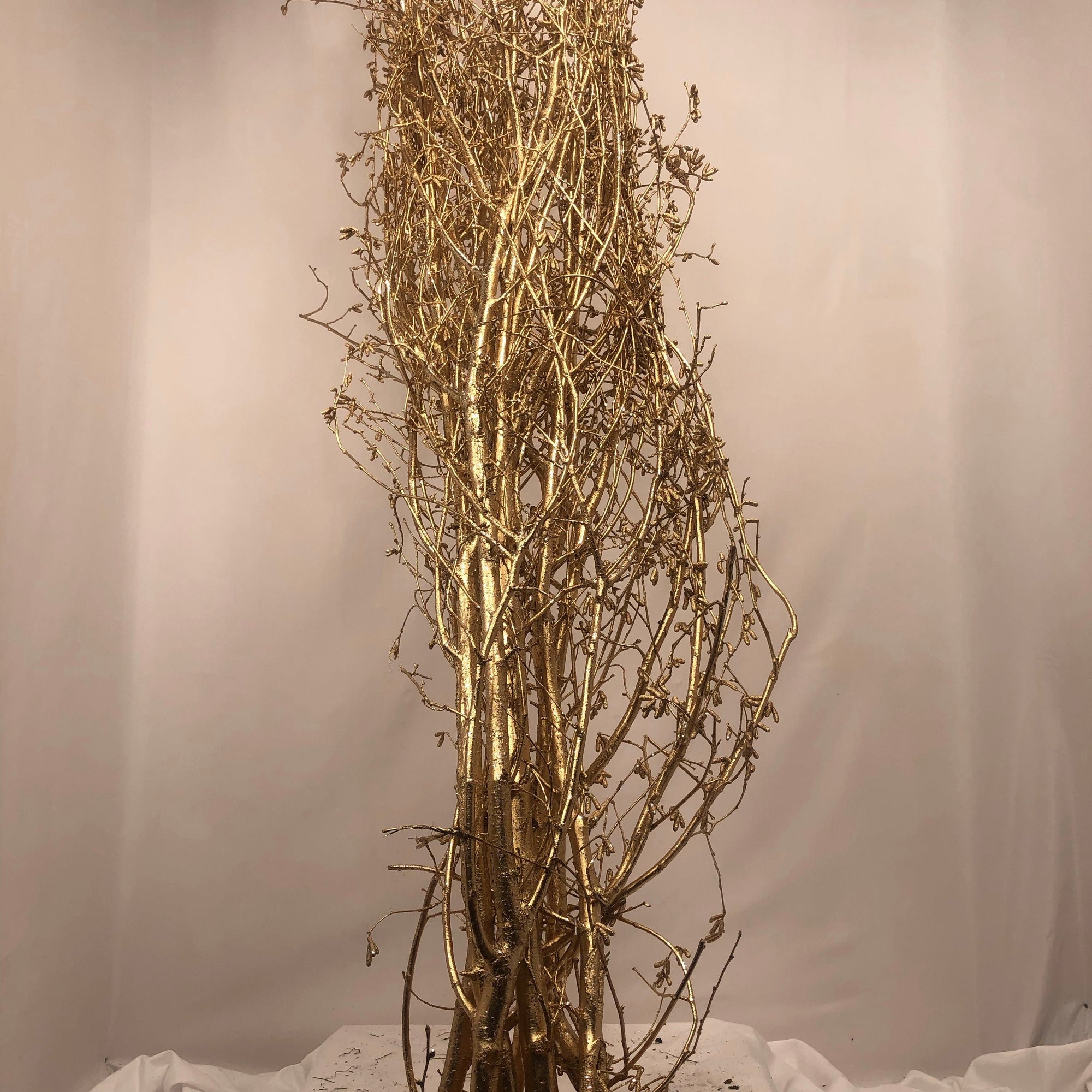 Hazel Catkin 5-6' Tall (Painted/Glitter) (Various Colours)