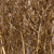 Hazel Catkin 5-6' Tall (Painted/Glitter) (Various Colours)