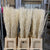 Twigs 'Willow' 120cm (x50) (Bleached) (DRY)