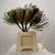 Protea 'Banksia' (Prionotes) (Various Lengths)