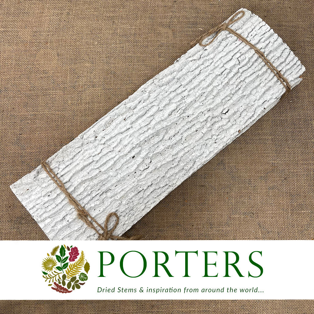 Bark Strips 'Thick' (White Wash) (Various Sizes) (DRY)
