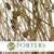 Sanguisorba Officinalis (Painted) (DRY) (Various Colours) (x10)