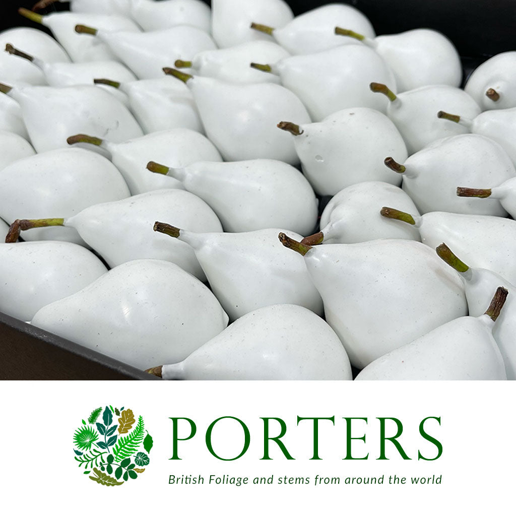 Waxed 'Pears' (Various Colours) 'With and Without Glitter' (x39)