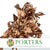 Ivy 'Foliage' (Preserved & Painted) (DRY) (Various Colours)