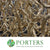 Twisted Hazel (Painted)(Corylus)(Various Colours)