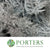 Fern 'Asparagus' (Painted/Glitter) 65cm (Various Colours) (x50)