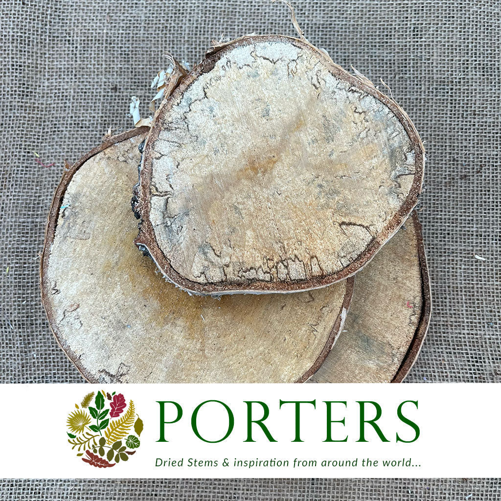 Wood Slices Wild (Round)