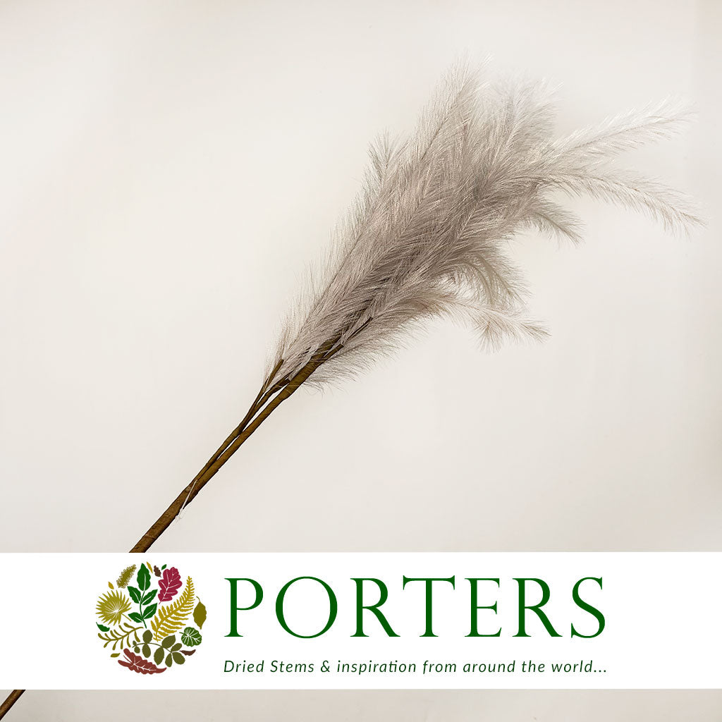 Artificial 'Panicle Grass' (Various Colours)