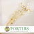 Poppy 'Heads' (Bleached) (Various Sizes) (DRY)