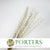 Scrotularia 'Berries' (Painted) (DRY) (Various Colours)