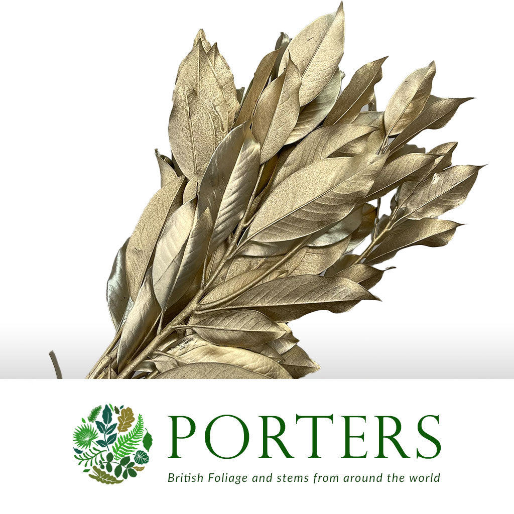 Magnolia 'Foliage' (Painted Metallic) (Various Colours) 80cm (300g)