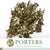 Ivy 'Foliage' (Preserved & Painted) (DRY) (Various Colours)