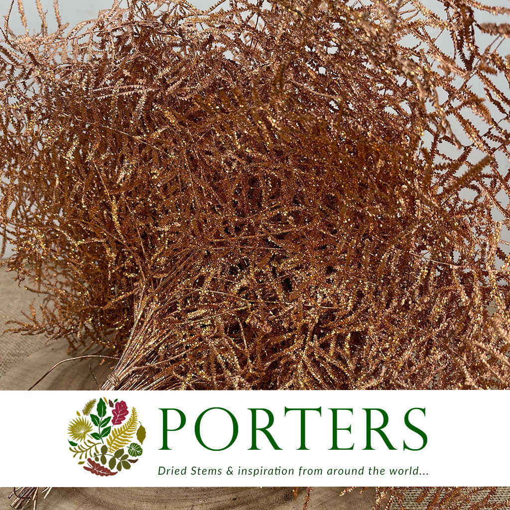 Fern 'Coral Fern' (Painted or Glittered) (x10)