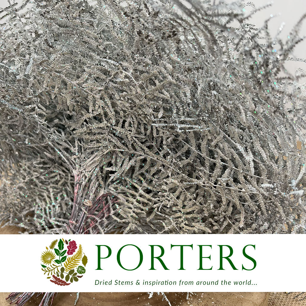 Fern 'Coral Fern' (Painted or Glittered) (x10)