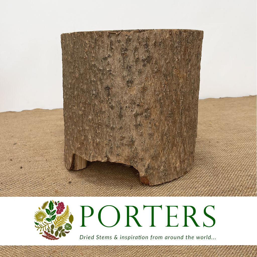 Bark Pot &#39;Ulmea&#39; (DRY) (Various Sizes)