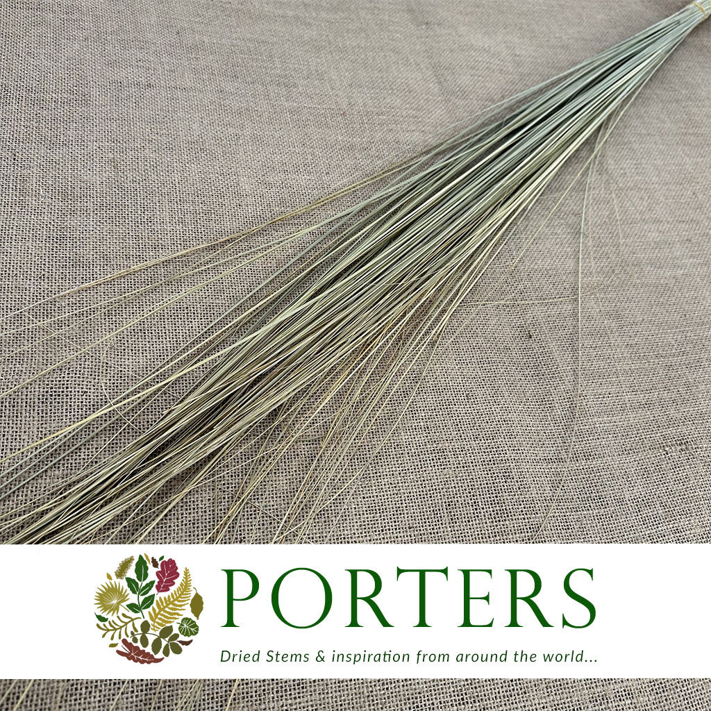 Grass 'Bear Grass' (Natural) (DRY)