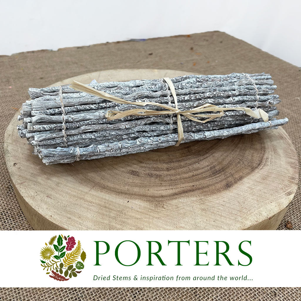 Coco &#39;Finger Runner&#39; (White Wash) (DRY) (Various Sizes)