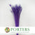 Feathers 'Peacock' 90-100cm (x10) (Various Colours)