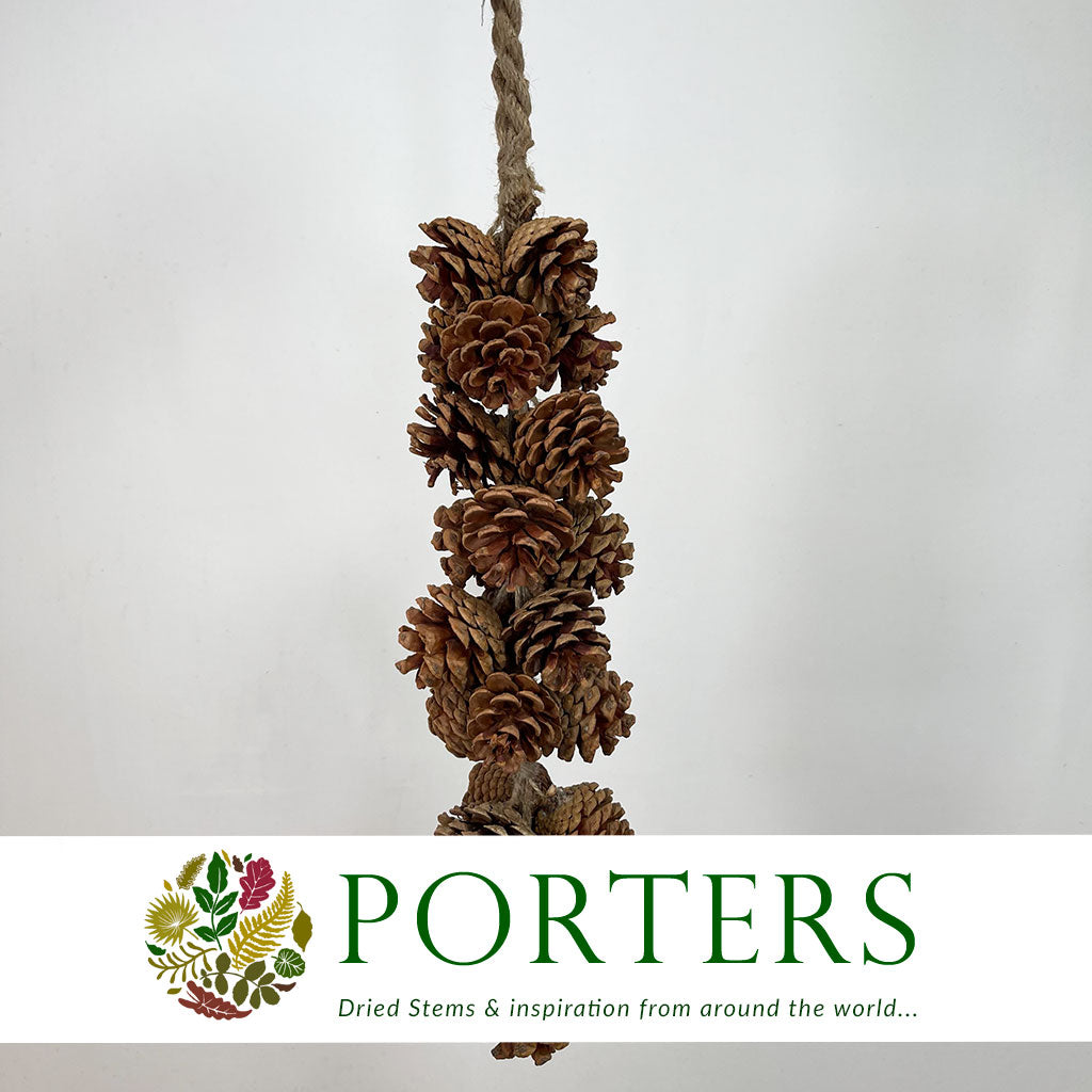 Garland &#39;Cone Cluster&#39; (Natural) (DRY) (Various Sizes)