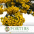 Rice Flower (Various Colours) (DRY) 70cm (100g)