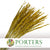 Rice Grass 'Oryza' (Yellow) (DRY)