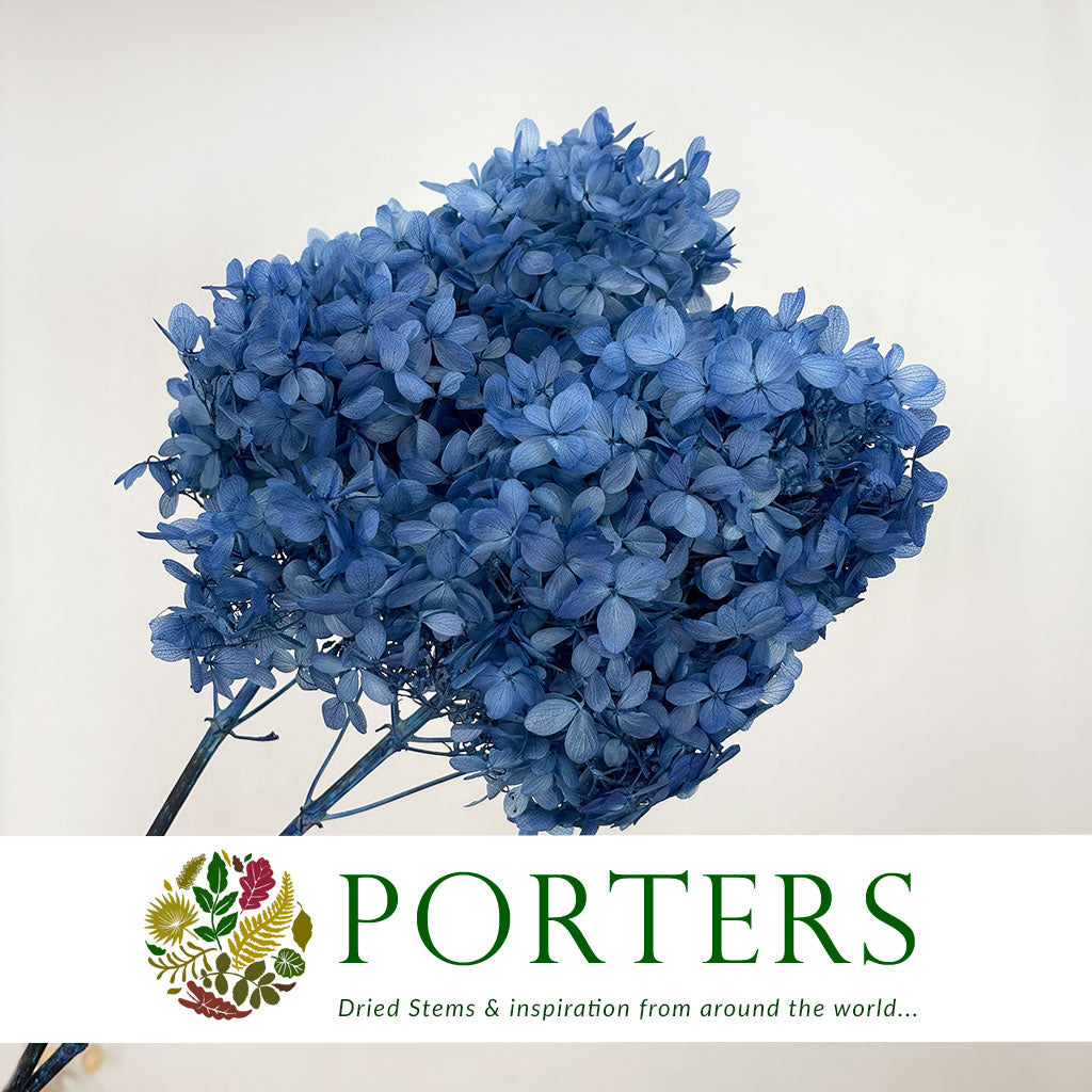 Hydrangea Flower (x2) (Various Colours) (DRY)