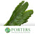 Asplenium 'Leaves' (Nidus) (Various Sizes)