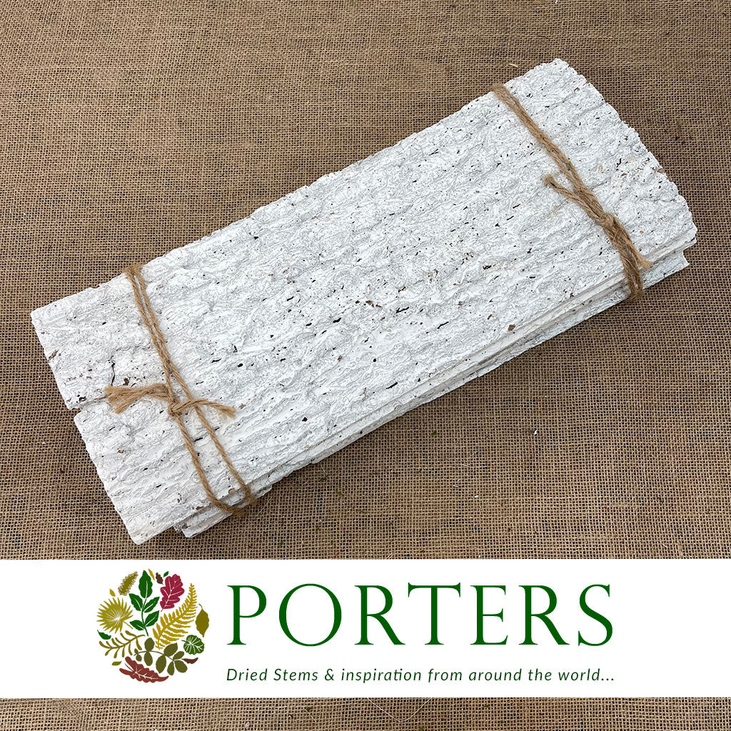 Bark Strips 'Thick' (White Wash) (Various Sizes) (DRY)