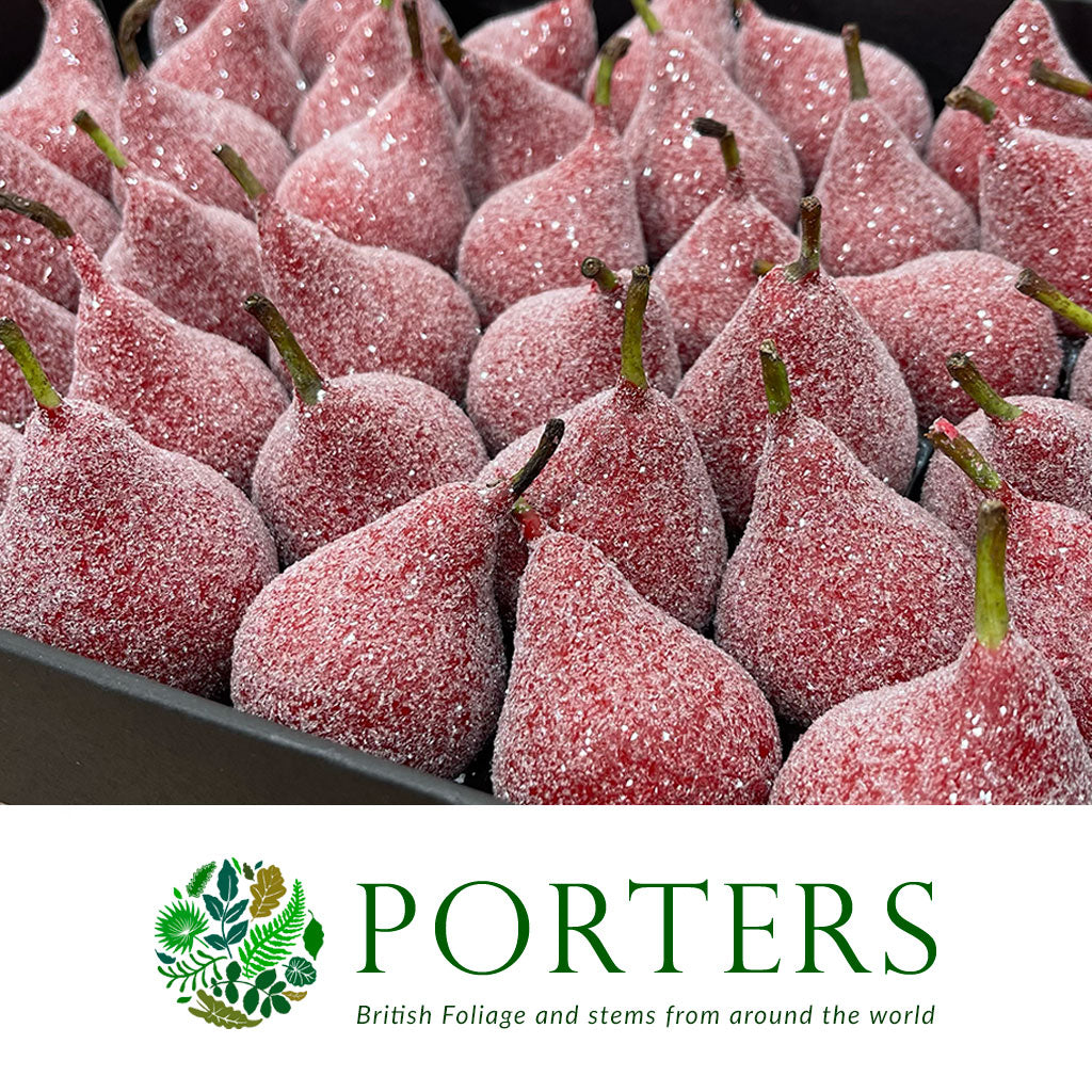 Waxed 'Pears' (Various Colours) 'With and Without Glitter' (x39)