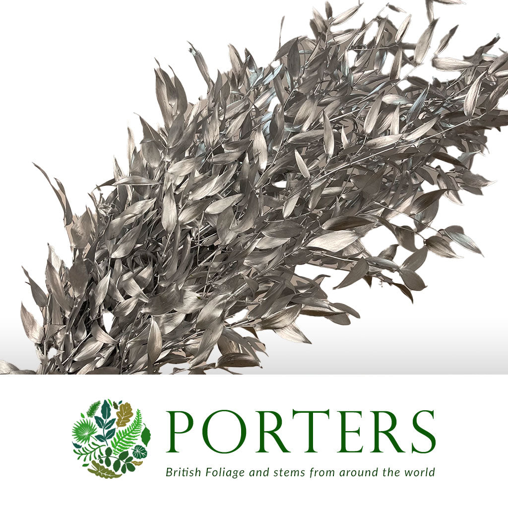 Ruscus &#39;Trailing&#39; Fresh (Painted Metallic Colours) (Various)