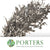 Ruscus 'Trailing' Fresh (Painted Metallic Colours) (Various)