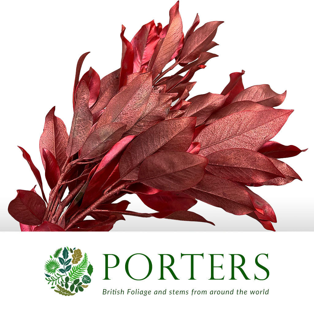 Magnolia &#39;Foliage&#39; (Painted Metallic) (Various Colours) 80cm (300g)