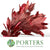 Magnolia 'Foliage' (Painted Metallic) (Various Colours) 80cm (300g)