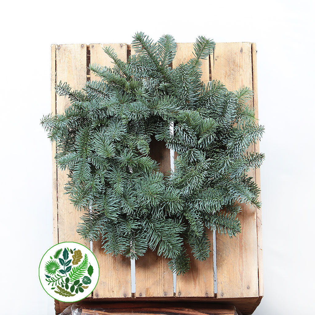 &#39;Blue Pine&#39; Wreaths (Various Sizes) (Metal Mossed Frames)