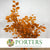 Beech 'Stabilized' (Coloured) 60-80cm (DRY) (150g)