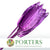 Strelitzia 'Leaves' Painted (Various Colours) (x10)