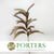 Artificial 'Panicle Grass' (Various Colours)