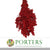 Schinus Molle Fruit (Painted) (DRY) (Various Colours)