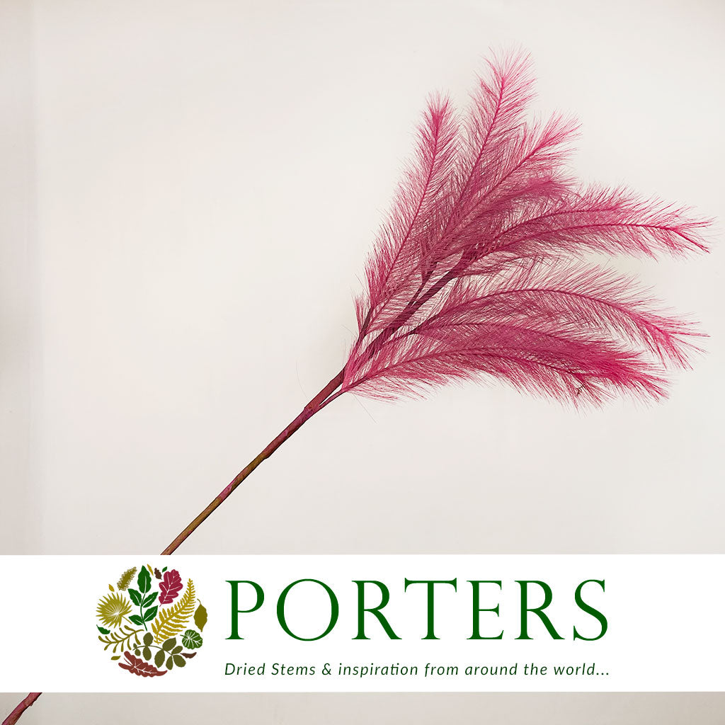 Artificial 'Panicle Grass' (Various Colours)