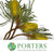 Protea 'Banksia' (Hookeri) (Yellow) (Various Lengths)