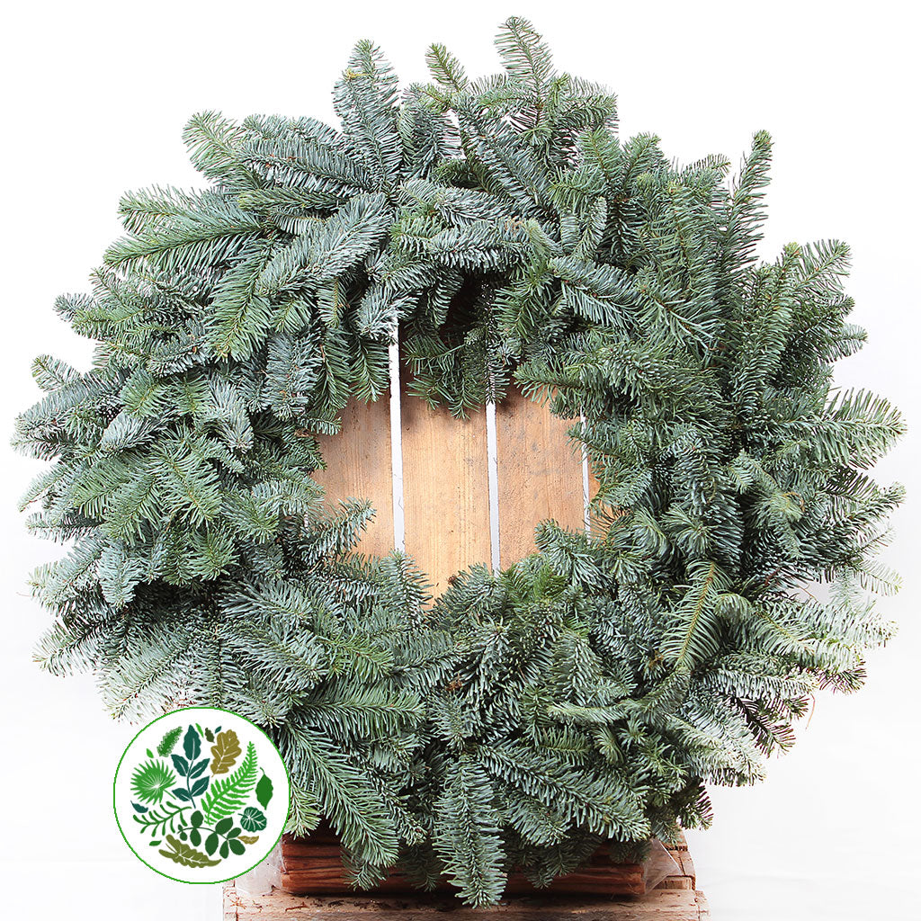 &#39;Blue Pine&#39; Wreaths (Various Sizes) (Metal Mossed Frames)