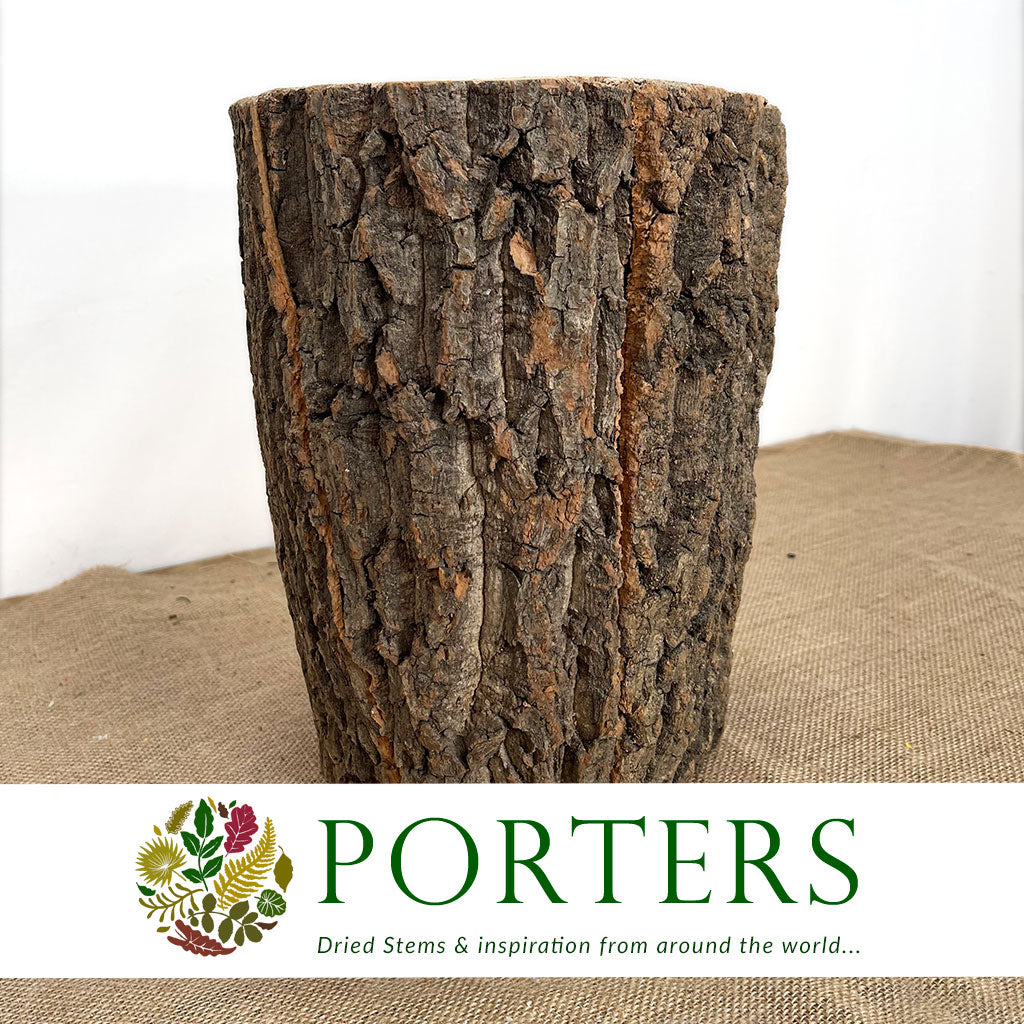 Cork Bark &#39;Bowl&#39; (Paulowina) (DRY) (Various Sizes)