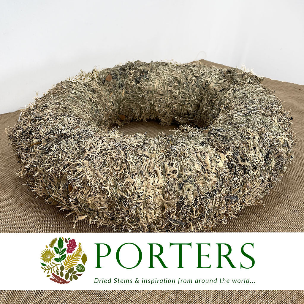 Wreath &#39;Moss&#39; (Lichen) (DRY) 35cm