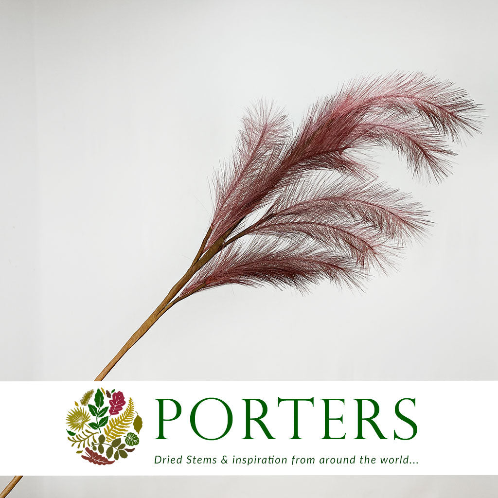 Artificial &#39;Panicle Grass&#39; (Various Colours)